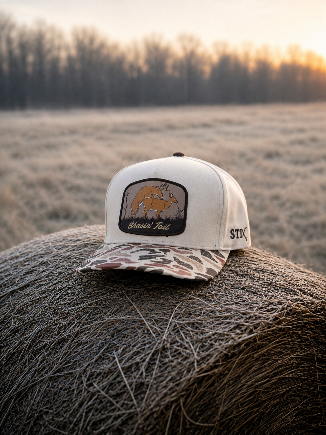 Chasin' Tail