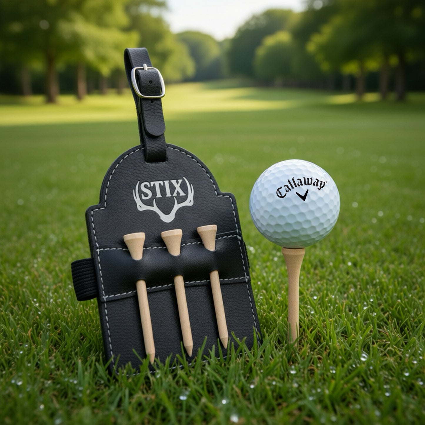 Golf Bag Tee Holder